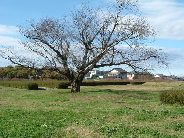 特別史跡・常陸国分尼寺・金堂跡の写真の写真