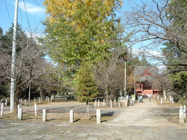 特別史跡・茨城・常陸国分寺の写真の写真