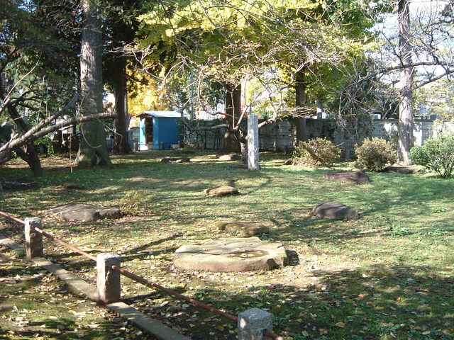 特別史跡・常陸国分寺・講堂跡の写真の写真