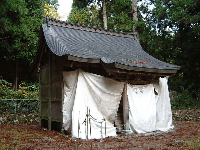 重要文化財・白山神社本殿本殿の写真の写真