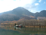 特別名勝・特別天然記念物・上高地・大正池付近の景色