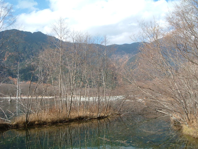 特別名勝・特別天然記念物・上高地・水流れは結構速いの写真の写真