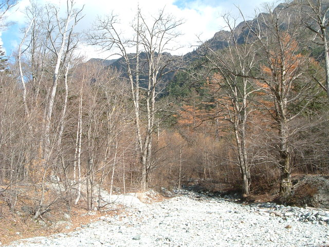 特別名勝・特別天然記念物・上高地・石がごろごろの写真の写真