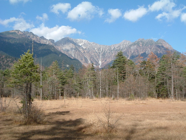 特別名勝・特別天然記念物・上高地・上高地には草原もあるの写真の写真