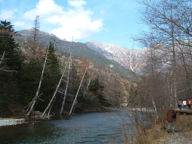 特別名勝・特別天然記念物・上高地・川のすぐ近くに散策路があるの写真の写真