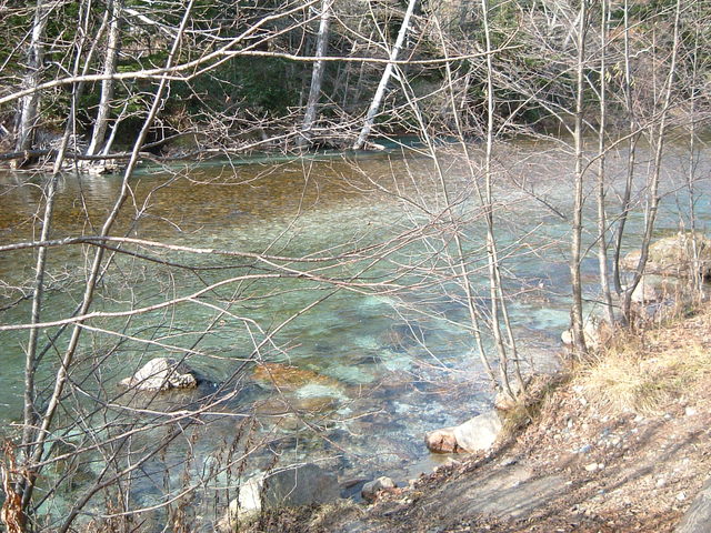 特別名勝・特別天然記念物・上高地・透明度が抜群の川の写真の写真
