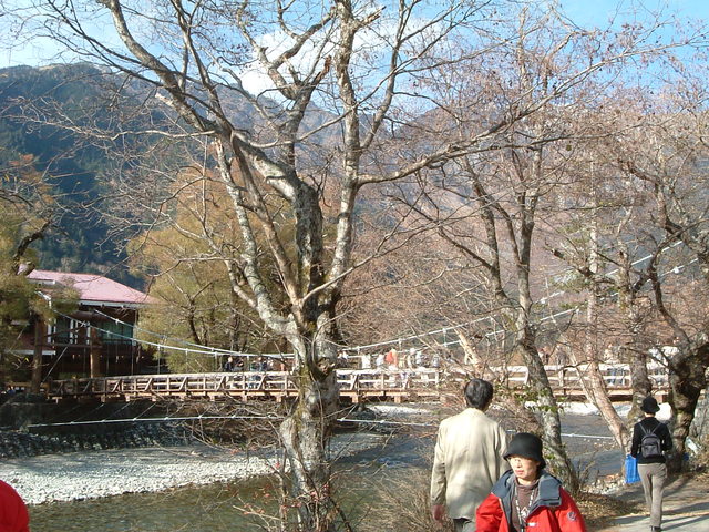 特別名勝・特別天然記念物・上高地・ここの橋は木造な上に細いの写真の写真