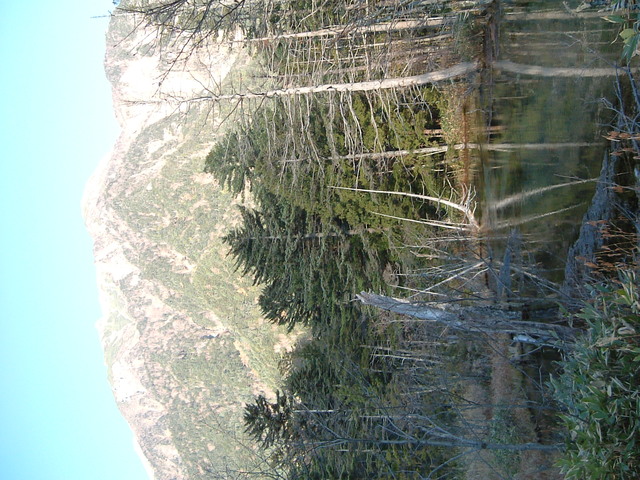 特別名勝・特別天然記念物・上高地・ヨセミテでも見たような光景の写真の写真