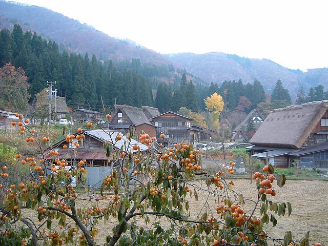 世界遺産・白川郷・五箇山の合掌造り集落の写真の写真