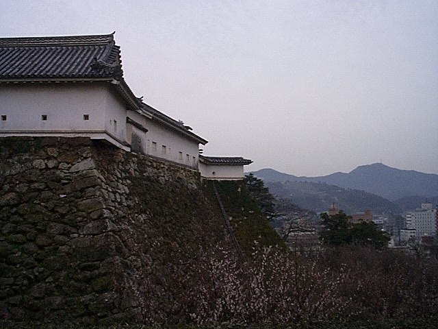 重要文化財・高知城西多聞の写真の写真