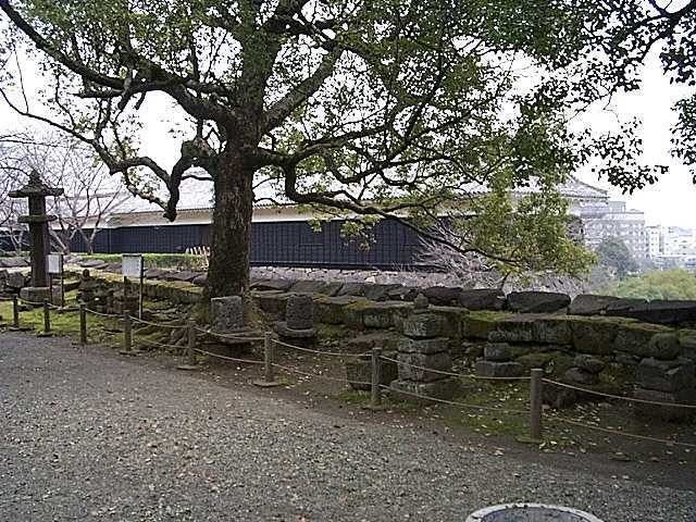 重要文化財・熊本城東十八間櫓の写真の写真