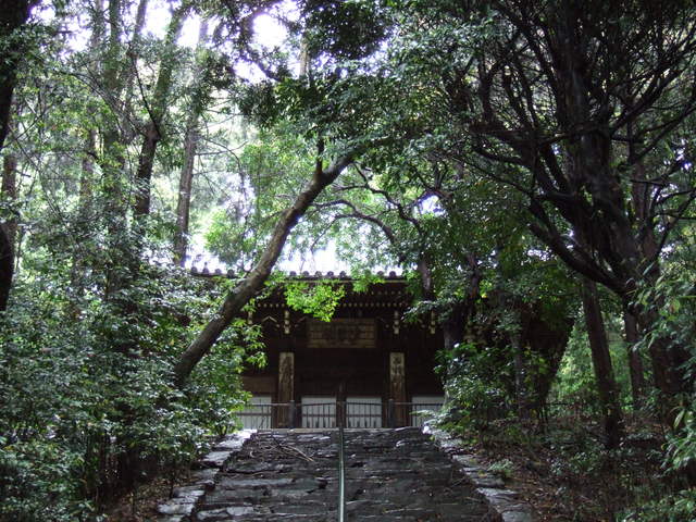 重要文化財・萬福寺松隠堂・舎利殿の写真の写真