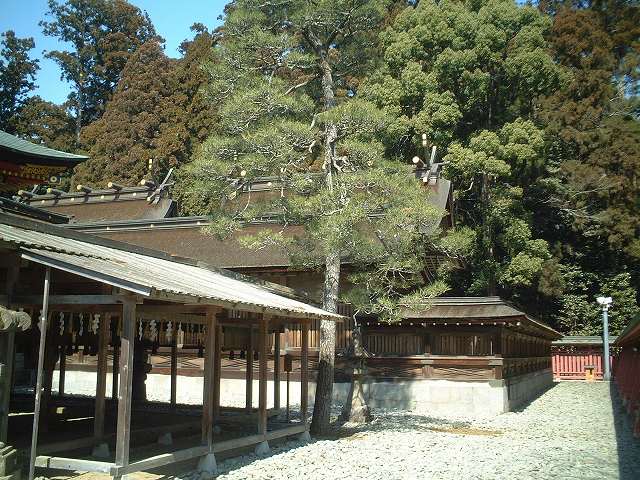 重要文化財・鹽竈神社左宮本殿の写真の写真