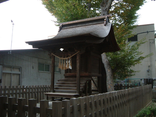 重要文化財・若宮八幡社本殿の写真の写真