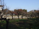 特別史跡・名古屋城跡・南側から見る本丸御殿跡