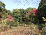 特別史跡・名古屋城跡・名勝・二之丸庭園・木々が生い茂る