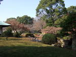 特別史跡・名古屋城跡・名勝・二之丸庭園・茶室の裏側に続く