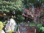特別史跡・名古屋城跡・名勝・二之丸庭園・木々に囲まれている