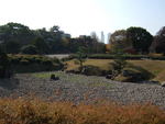 特別史跡・名古屋城跡・休憩所から見る池跡