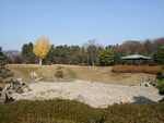 特別史跡・名古屋城跡・発掘された池跡
