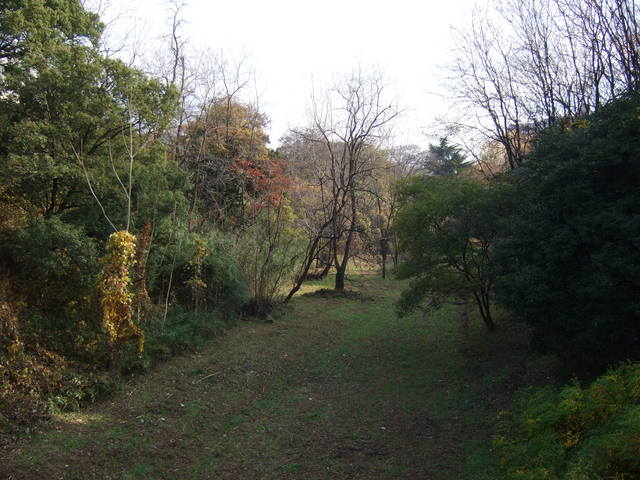 特別史跡・名古屋城跡・三の丸付近の外堀の写真の写真