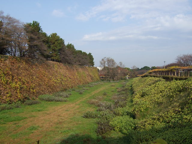 特別史跡・名古屋城跡・東鉄門跡付近から見る外堀の写真の写真
