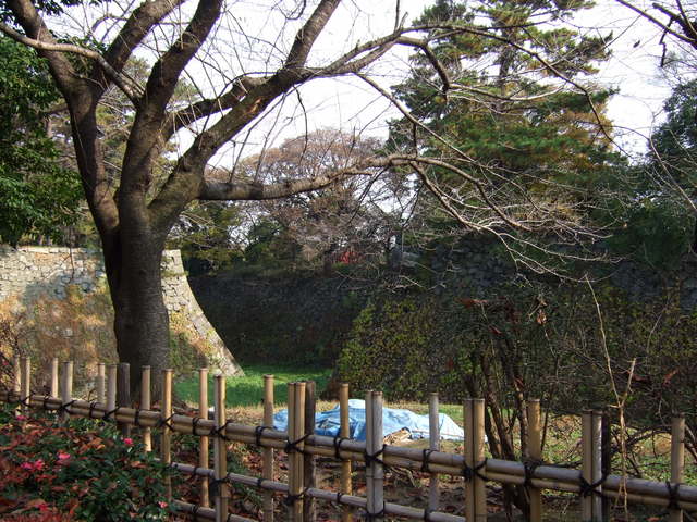 特別史跡・名古屋城跡・二之丸大手二之門付近から見る二の丸方向の写真の写真