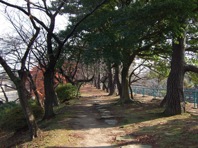 特別史跡・名古屋城跡・西の丸の土塀跡の土手の写真の写真