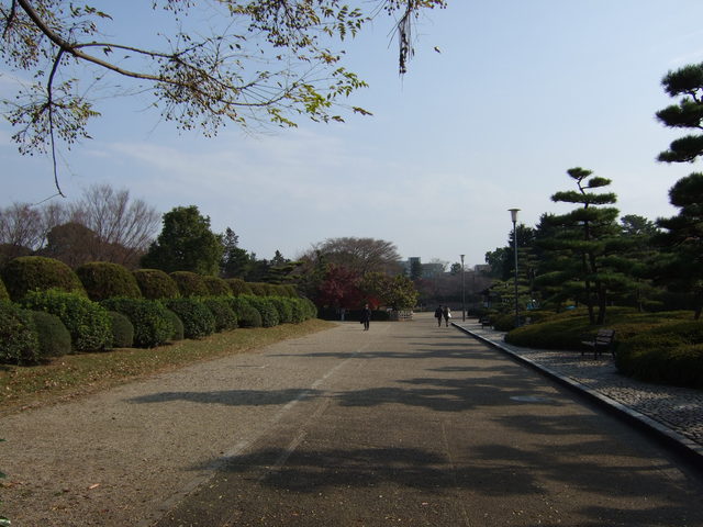 特別史跡・名古屋城跡・二の丸の写真の写真