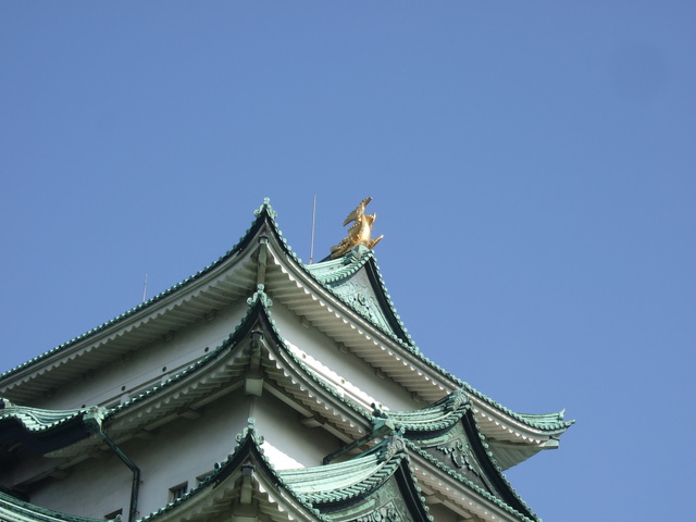 特別史跡・名古屋城跡・大天守の金の鯱の写真の写真