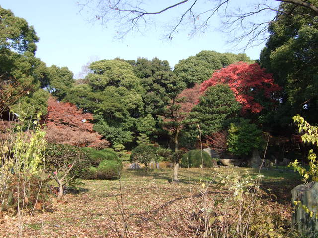 特別史跡・名古屋城跡・名勝・二之丸庭園・木々が生い茂るの写真の写真