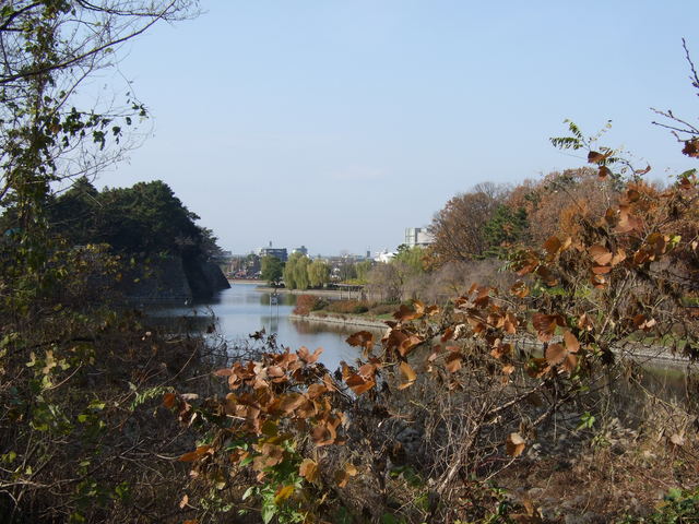 特別史跡・名古屋城跡・名城公園南交差点付近から見る外堀の写真の写真