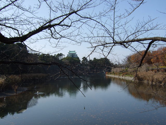 特別史跡・名古屋城跡・名城公園からみる外堀と天守閣の写真の写真