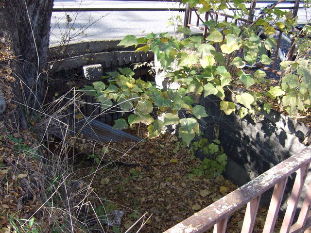 特別史跡・名古屋城跡・辰之口水道大樋の写真の写真