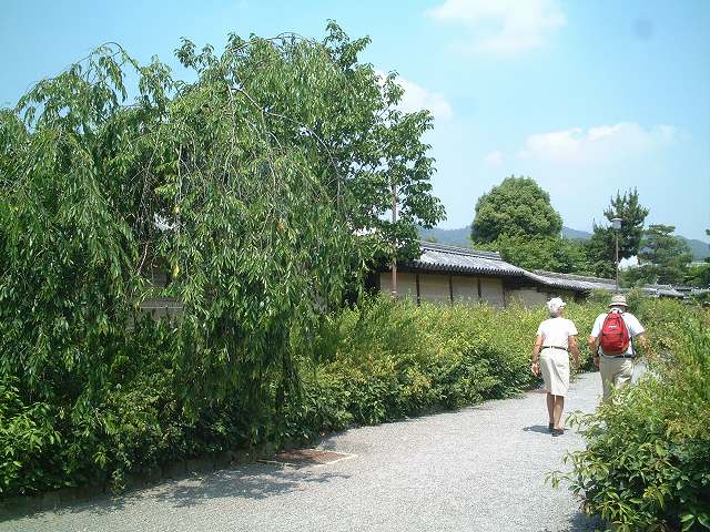 法隆寺地域の仏教建造物・法隆寺東院大垣東面の写真の写真
