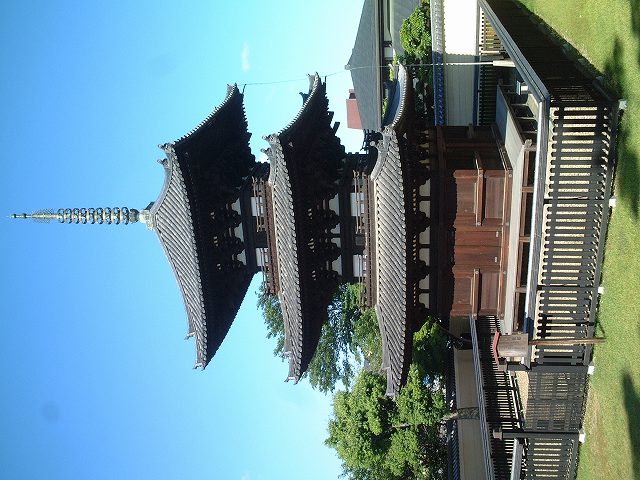 世界遺産・奈良・興福寺三重塔の写真の写真