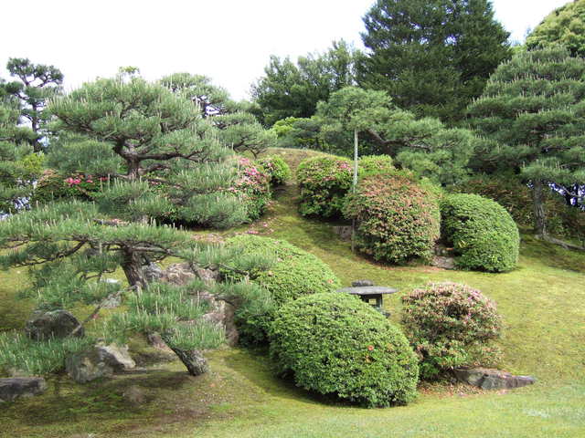 世界遺産・二条城・名勝・本丸庭園の築山の写真の写真