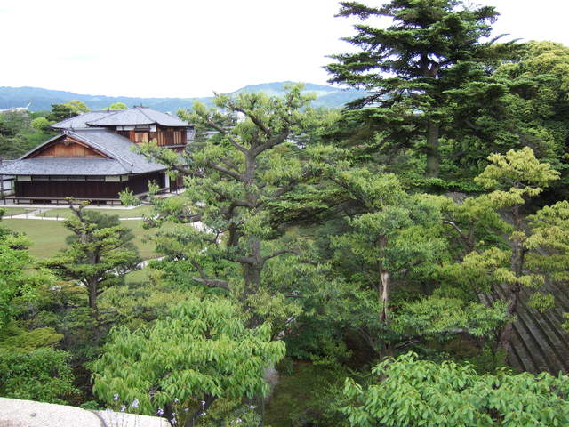 世界遺産・二条城・名勝・本丸庭園・天守台から見る本丸御殿の写真の写真
