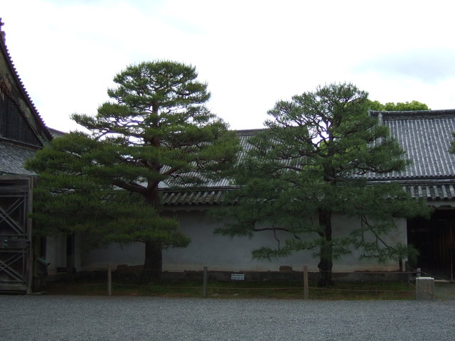 世界遺産・二条城・重要文化財・二の丸御殿御清所の写真の写真