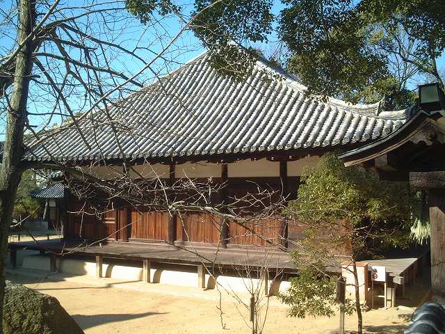 重要文化財・本蓮寺本堂の写真の写真
