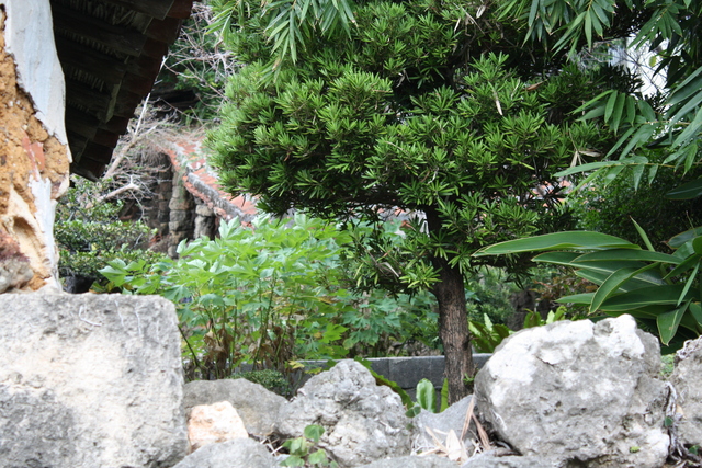 重要文化財・新垣家住宅・登窯の写真の写真