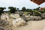 史跡・首里城・書院から見る庭園３