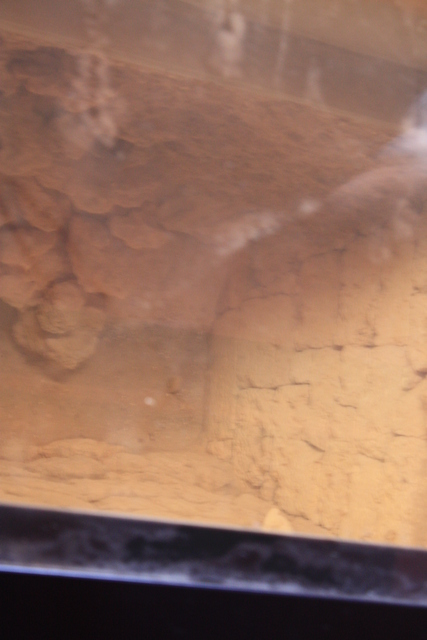 史跡・首里城・正殿の地下遺跡の写真の写真