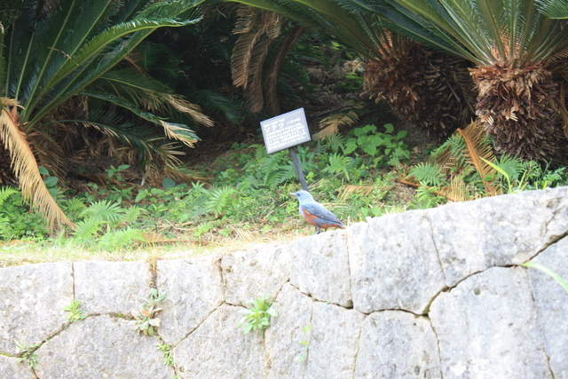 史跡・首里城１５の写真の写真