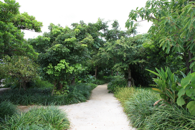 史跡・首里城・京の内２の写真の写真