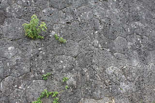 史跡・首里城・石垣の写真の写真