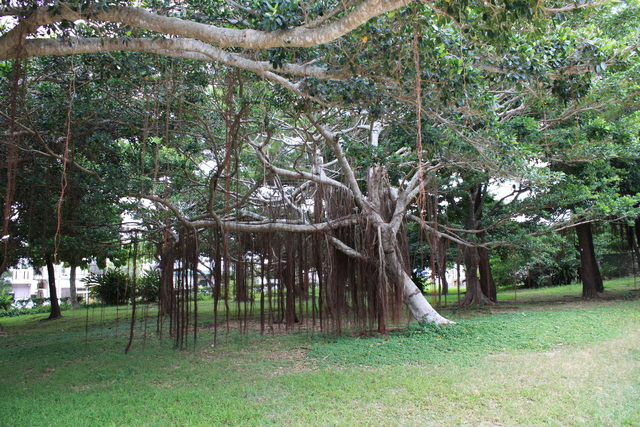 史跡・玉陵４の写真の写真