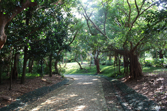 特別名勝・識名園３の写真の写真