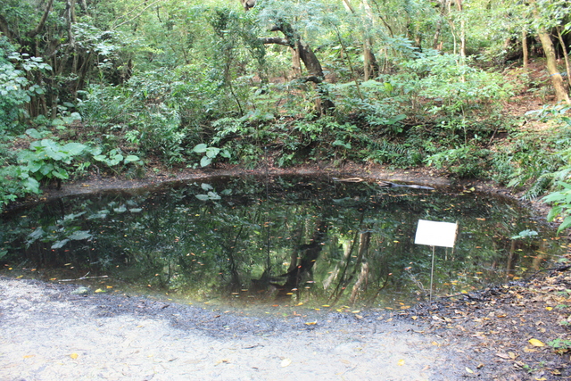 史跡・斎場御嶽６の写真の写真