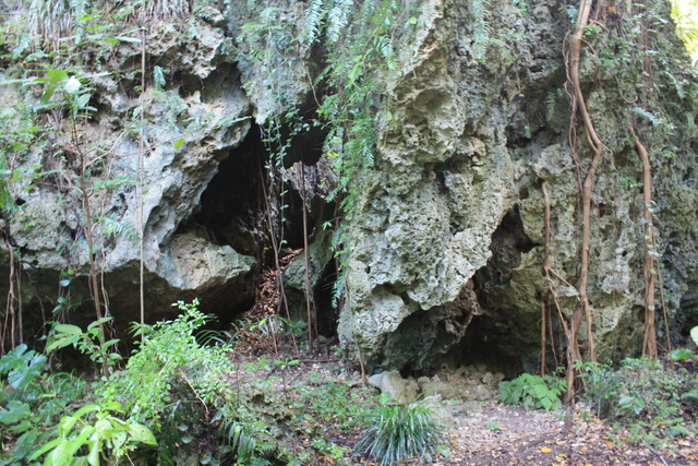 史跡・斎場御嶽７の写真の写真